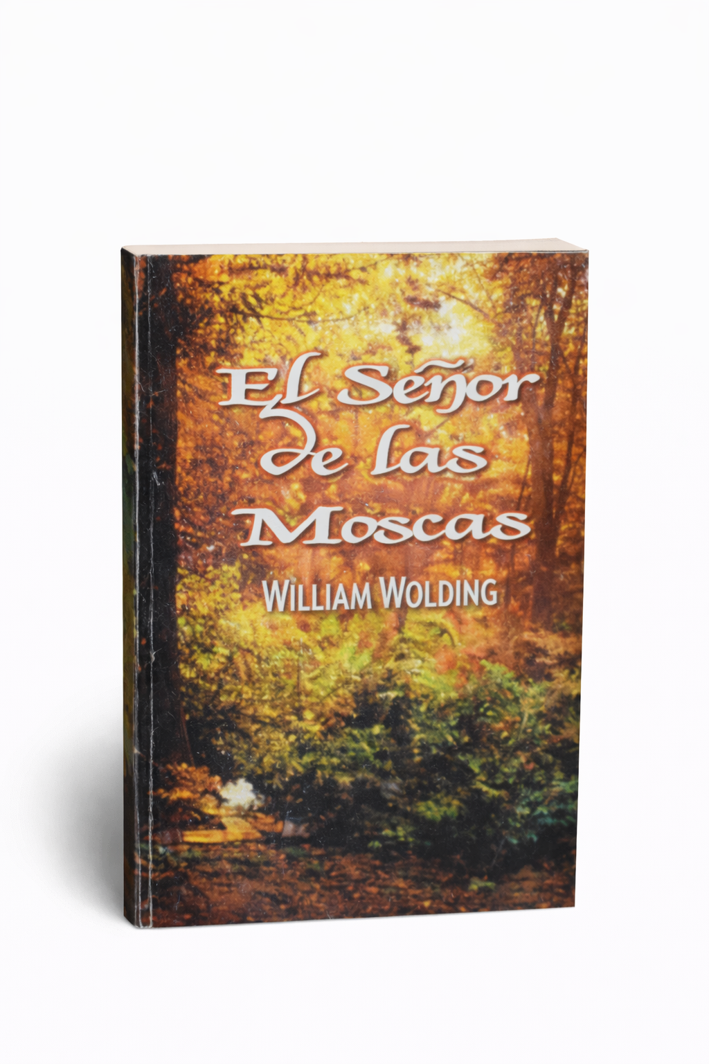 El señor de las moscas - William Golding